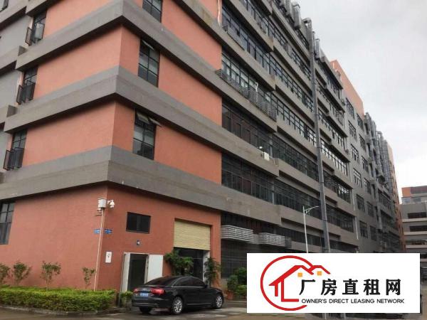  凤岗雁田怡安附近精装修厂房出租1140平水电齐全