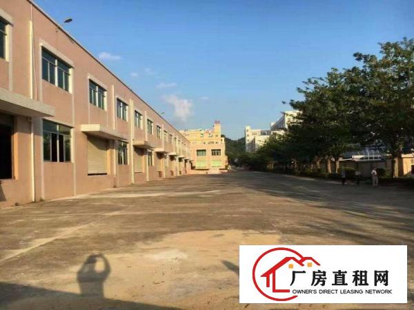  凤岗独院厂房出租16000平方适合五金塑胶电子