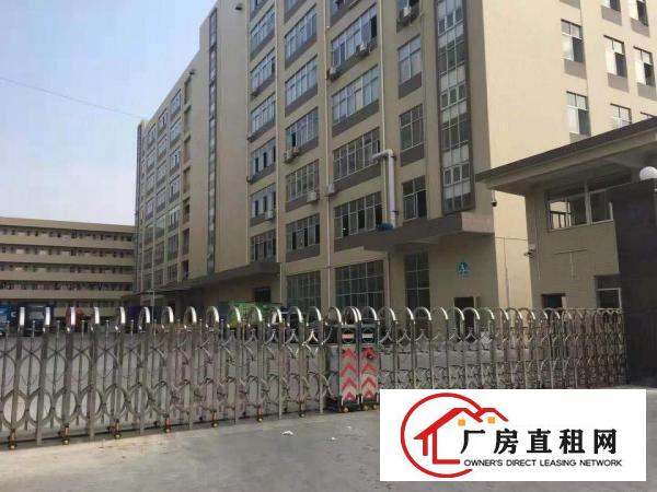  凤岗高速路口电子电商仓库手袋皮具行业厂房出租价格便宜