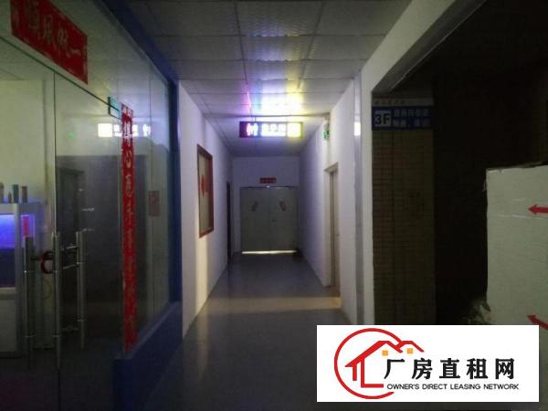  凤岗雁田手袋皮具电子组装贸易电商楼上厂房出租600平
