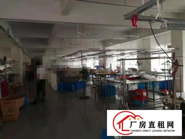  凤岗雁田手袋皮具电子组装贸易电商楼上厂房出租600平