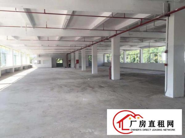 小独院厂房出租凤岗天堂围近观兰大小可分租