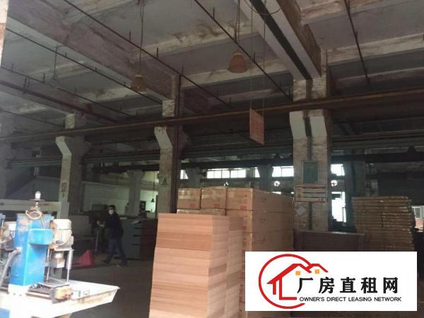  凤岗天堂围独院厂房出租15600平带独立办公楼