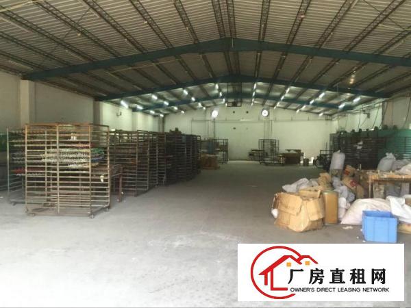  金凤凰单一层钢构厂房出租2000平适合塑胶家具