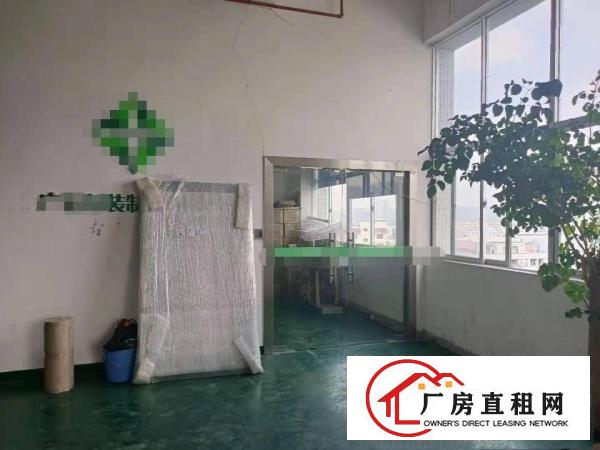  凤岗雁田海关附近楼上厂房出租1800平电商仓库电子五金