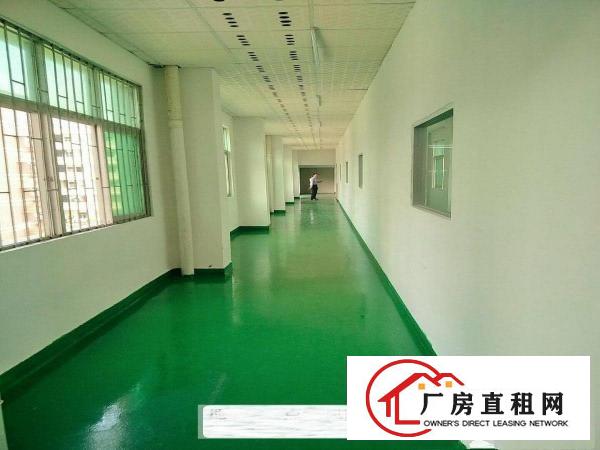  凤岗雁田布心楼上厂房出租2000平适合包装电子组装加工