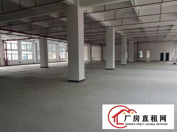  竹塘新出全新厂房原房东1500平方300起分
