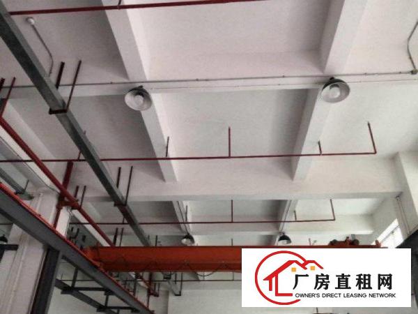  塘沥新出1楼500平带办公室，车间水电厂房出租