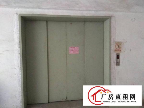  油甘埔分租原房东标准厂房三楼1000平方，无公摊无杂费