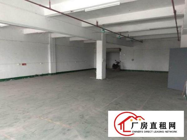  油甘埔分租原房东标准厂房三楼1000平方，无公摊无杂费