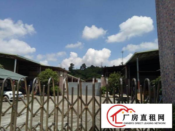  凤岗官井头单一层独院钢构厂房出租8000平可分租
