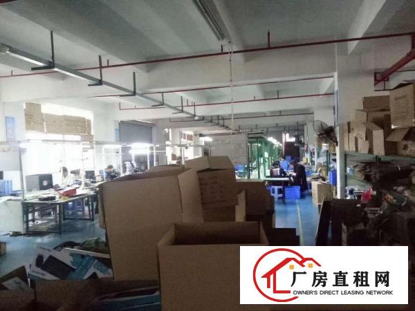  凤岗天堂围楼上厂房便宜出租适合电商贸易电子五金包装