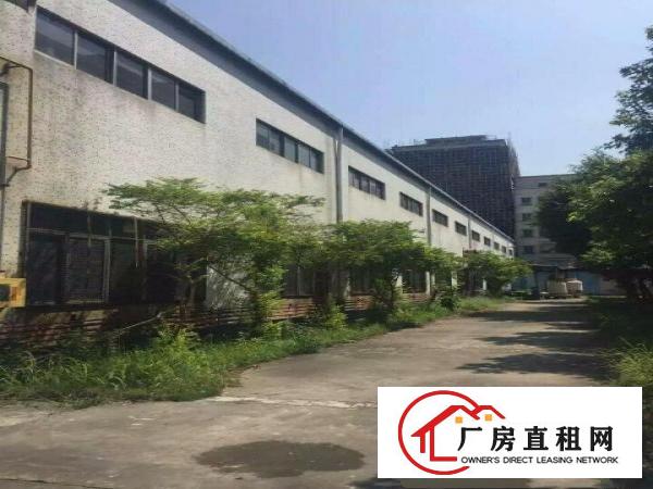  塘厦12米高钢构厂房出租5000平适合压铸模具