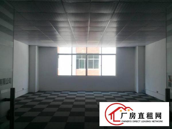  凤岗金凤凰电子组装五金加工电商带装修厂房出租