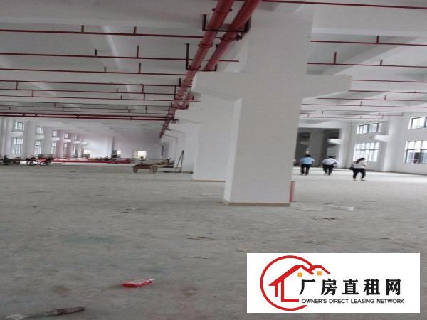  凤岗全新大型独院厂房出租39500平方近深圳平湖