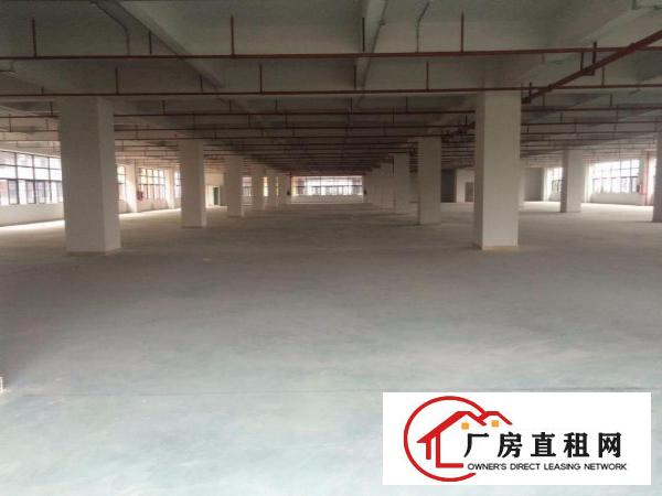  凤岗全新大型独院厂房出租39500平方近深圳平湖