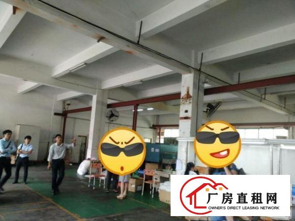  凤岗沙岭车站雁田一楼标准厂房出租500平原房东
