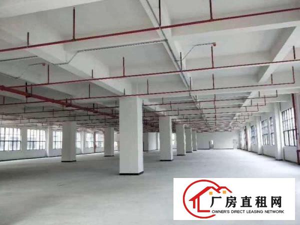  凤岗带红本重工业全新独院厂房招租两栋共54000平米可分租