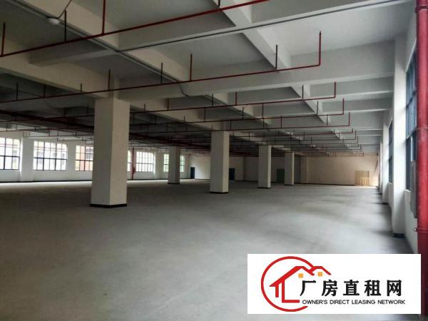  凤岗带红本重工业全新独院厂房招租两栋共54000平米可分租