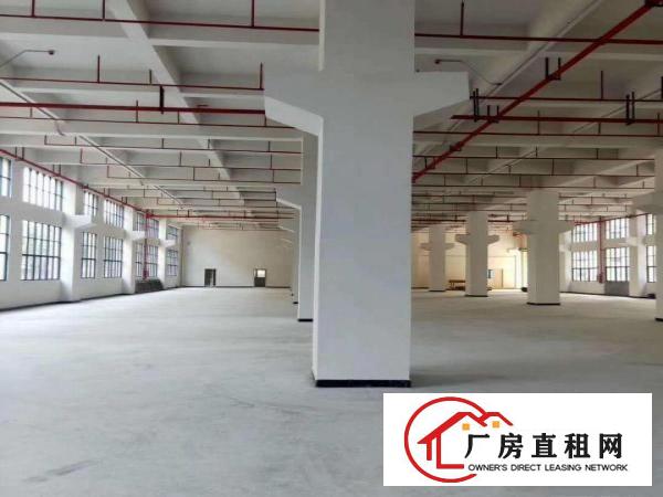 凤岗带红本重工业全新独院厂房招租两栋共54000平米可分租