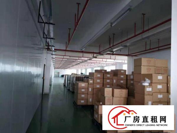  靠近深圳凤岗精装厂房出租楼上3300平配套齐全拎包入驻