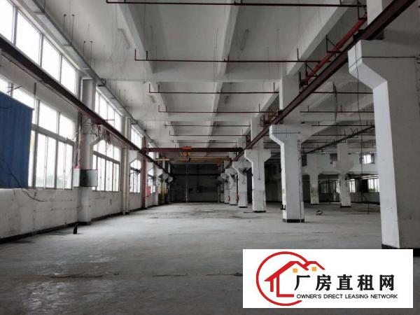  凤岗雁田塑胶模具独院厂房出租三栋3万平方，可分租，近深圳