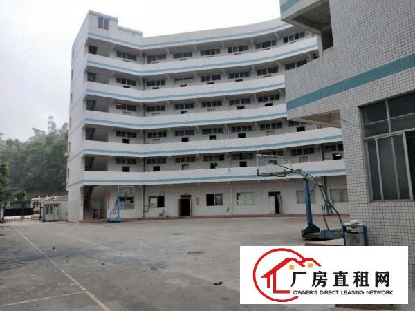  凤岗雁田塑胶模具独院厂房出租三栋3万平方，可分租，近深圳