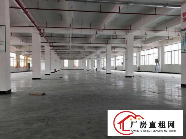  凤岗雁田塑胶模具独院厂房出租三栋3万平方，可分租，近深圳