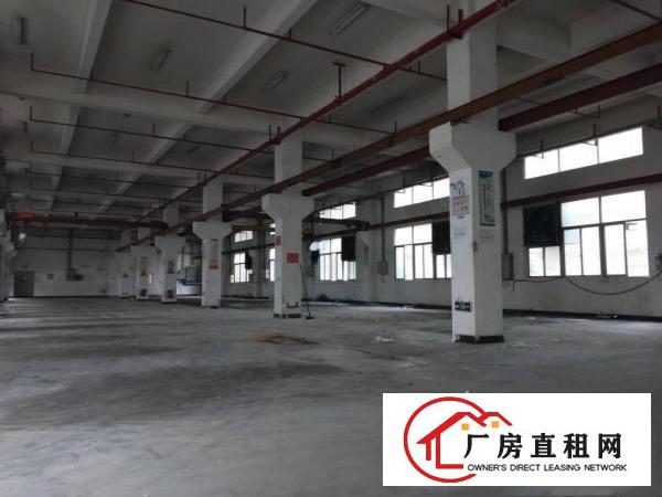  凤岗雁田塑胶模具独院厂房出租三栋3万平方，可分租，近深圳