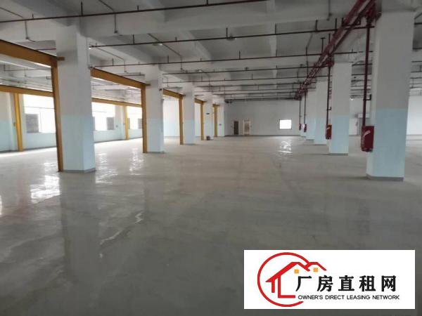  独院厂房分租一楼整层3960平6米高带行车适合模具注塑