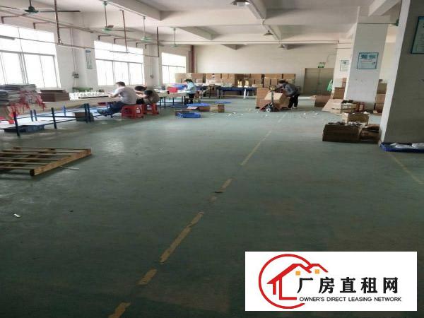  凤岗镇中心淘宝贸易厂房出租750平方有办公室仓库