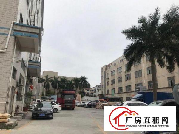  金凤凰工业区带装修一楼厂房800平出租，周边配套齐