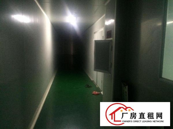 凤岗雁田手机屏幕光电无尘车间厂房出租2600平