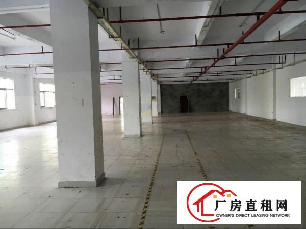  凤岗雁田布心楼上厂房便宜出租2000平好招工