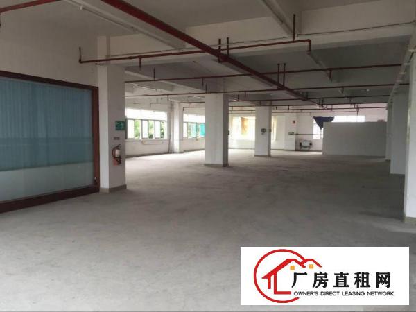  凤岗雁田电商仓库电子包装纸品五金厂房出租大小可分租