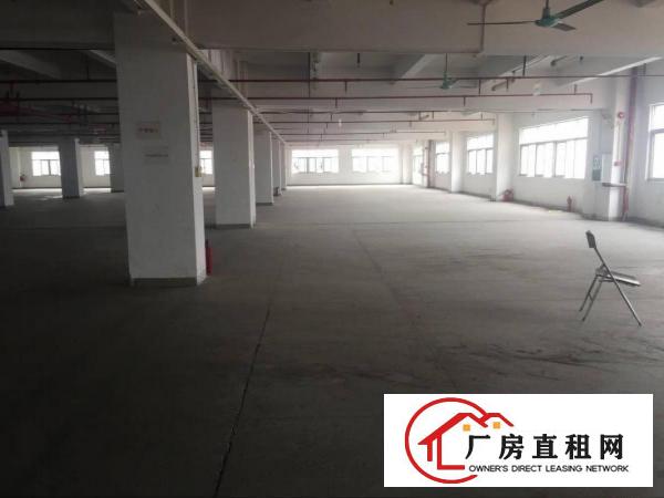  凤岗雁田电商仓库电子包装纸品五金厂房出租大小可分租