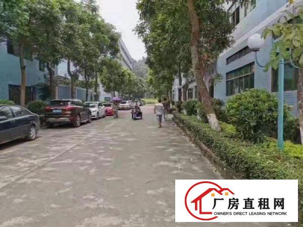  塘厦现成千级无尘车间出租1000平方好招工
