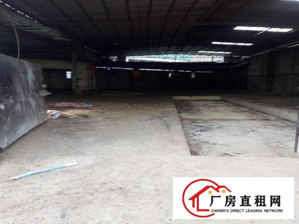 凤岗金凤凰独院铁皮房出租1500平高7米