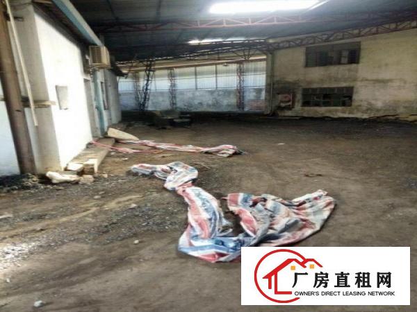  凤岗金凤凰独院铁皮房出租1500平高7米
