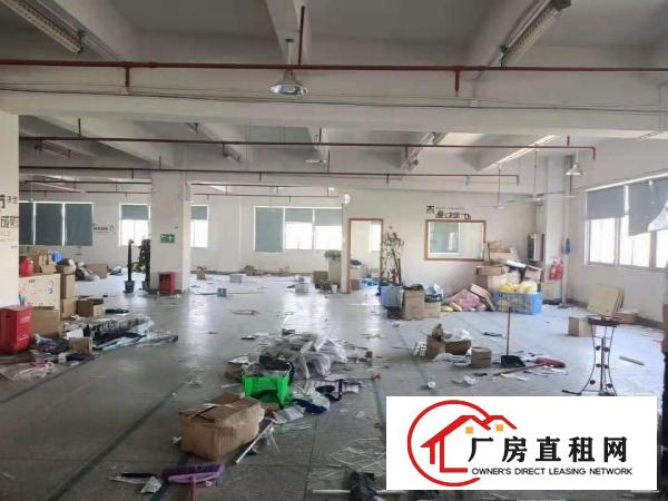  好招工凤岗雁田布心电子电商仓库包装厂房出租可分租