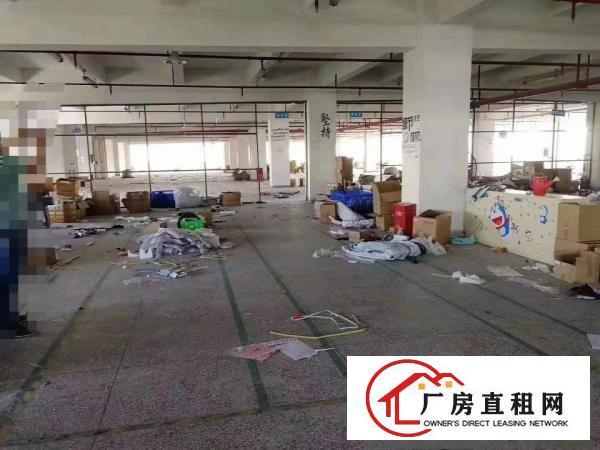  好招工凤岗雁田布心电子电商仓库包装厂房出租可分租