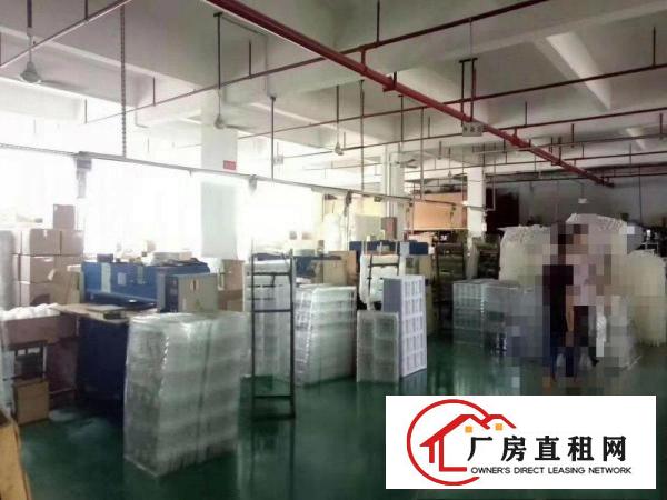  好招工凤岗雁田布心电子电商仓库包装厂房出租可分租