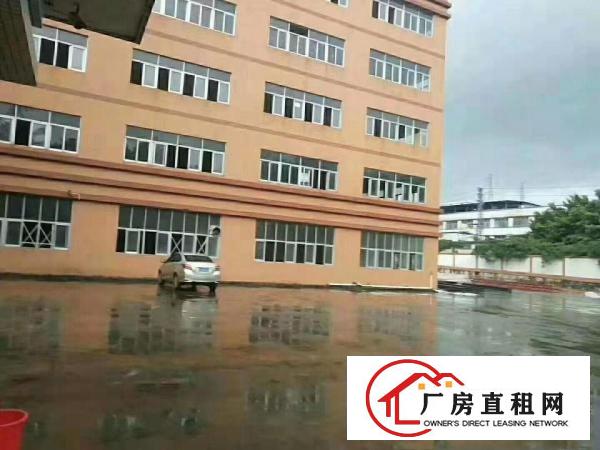  好招工凤岗雁田布心电子电商仓库包装厂房出租可分租
