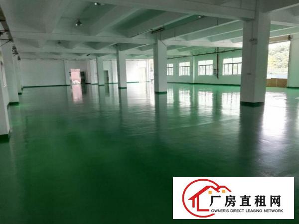  清溪空地大,形像好独门独院厂房出租5400平