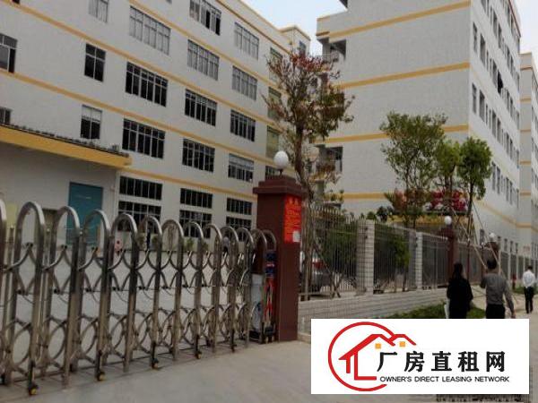  花园式独门独院厂房出租厂房5层单层面积2000