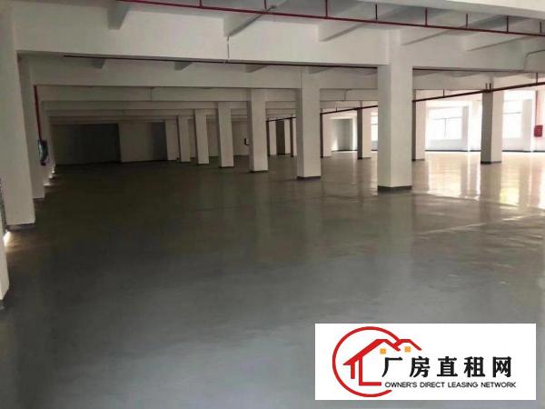  凤岗靠观澜平湖交界处原房东新建厂房