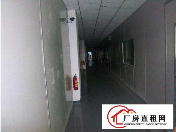  凤岗精装修标准厂房500-6500㎡招租