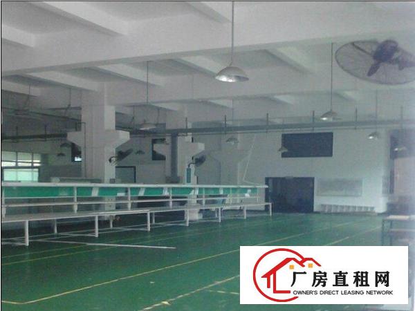  凤岗精装修标准厂房500-6500㎡招租