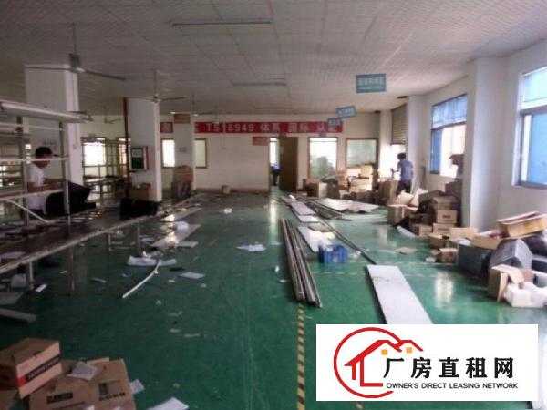  凤岗雁田水贝刷绿色地板漆带装修厂房出租1300平