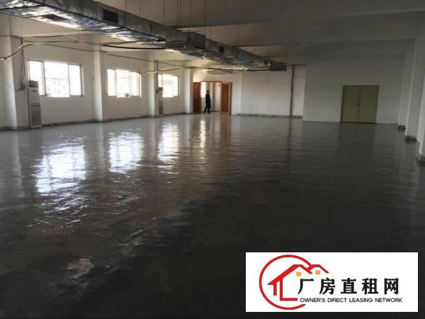  凤岗雁田布心带装修电子/加工类厂房出租1480平